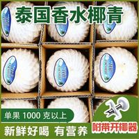 椰青4只每只大于1000g