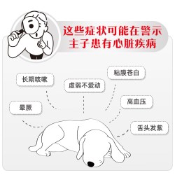 皇家 处方粮心脏全价处方湿粮VCDC慕斯肉泥200g*6