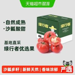绿行者 沙瓤粉番茄 新鲜水果蔬菜 共2250克 整箱装