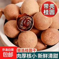 营养保健养颜桂圆带壳桂圆福建莆田桂圆肉气血滋补抗衰女性养颜 带壳桂圆 450g*3袋