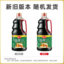 海天 烧烤汁230mL 烤鸡翅酱油基底户外烧烤调料蘸料腌肉料调味汁调味品 烧烤汁1.28L*2