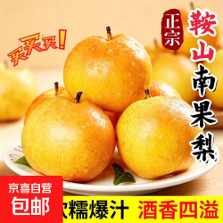 京喜加 鞍山特产南果梨新鲜水果香水梨南国梨沈阳发 6粒 到手3.88元 包邮