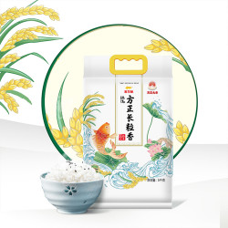 金龙鱼 臻选方正长粒香米5kg×2袋东北大米共20斤一年一季清香绵软