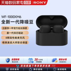 索尼 WF-1000XM6 降噪豆真无线蓝牙降噪