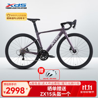 喜德盛 公路自行车AD300成人骑行运动健身学生变速车单车油碟UCI车架 霞光紫（新色） 450mm
