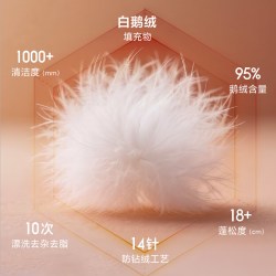8H 轻音羽绒被95白鹅绒冬被子加厚保暖80S防钻绒抗菌A类