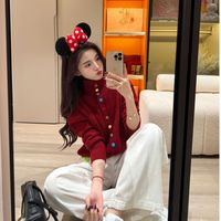 新款设计感韩系慵懒软糯毛衣女玫粉甜美温柔风彩扣半高领针织衫女