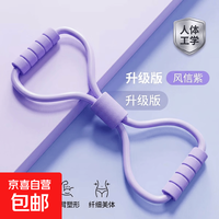 京喜 家用健身弹力带收腹机瑜伽瘦手臂颈肩拉伸抗阻训练八字拉力器开背 风信紫
