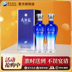 洋河 蓝色经典 天之蓝   42度 480mL 2瓶 双瓶装
