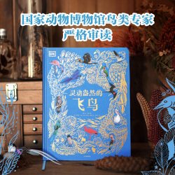 DK浩瀚宇宙大奥秘 6-12岁儿童宇宙科普读物立于银河心系宇宙近200张珍贵太空图片 让孩子从小立于梦幻 中信出版社新华书籍