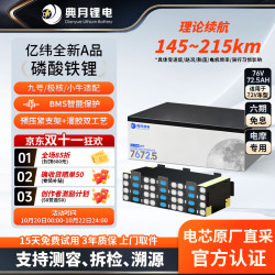 典月 72V72.5AH亿纬全新A品带码电芯磷酸铁锂极核九号小牛电摩锂电池 72V72.5AH亿纬全新带码A品