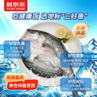 鲜京采 白蕉海鲈鱼4条装/1200g 三去海鲈鱼地标产品鱼类