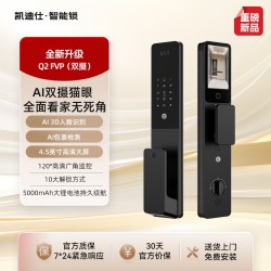 凯迪仕 智能门锁 Q2 FVP双摄