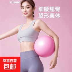 孕妇瑜伽球加厚防爆普拉提健身球瑜伽训练核心塑形健身小球麦管球 200克25cm麦管球（粉色）