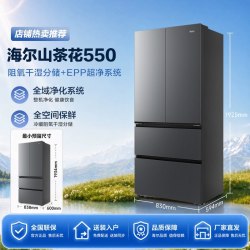 海尔 BCD-550WGHFDBCFSU1 双系统双净化 法式冰箱