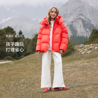 坦博尔 TC5530312Z 可脱卸帽 深红咖 XS(120) 女士羽绒服