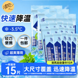 清风 降温湿巾运动冰爽湿纸巾冰爽薄荷因子大尺寸军训湿巾 10片装