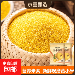 精选黄小米 油小米 月子米黄米粟米杂粮山西特产当季新米 黄小米500g*2袋