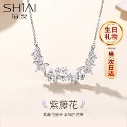 拾爱 双11紫藤花项链女生锁骨链2026新款小众花朵吊坠结婚礼物送女友