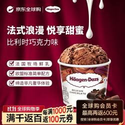 哈根达斯 比利时巧克力口味冰淇淋 460ml