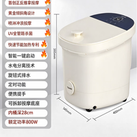 泰昌 TC-5197 足浴盆 白色