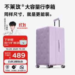 bromen 20英寸Plus 紫色 拉杆箱
