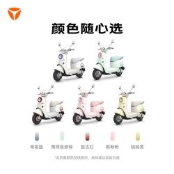 雅迪 摩登麦芒Pro 电动轻便摩托车 颜色到店自选