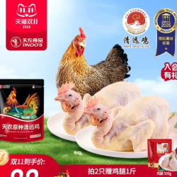 天农 138原种清远鸡800g*1只