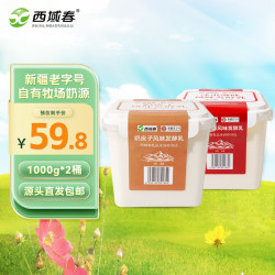 西域春 新疆益生菌奶皮子原味酸奶 1kg*2桶组合 源头直发包邮