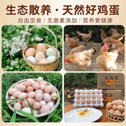 金咕 农家新鲜富硒鸡蛋无抗生素30枚土鸡蛋生鲜整箱次日达新鲜生鸡蛋