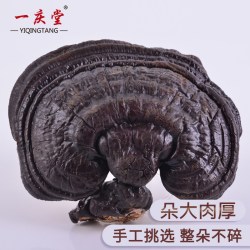 一庆堂 长白山灵芝片250克 整枝林芝切片赤灵芝元东北精芝干货
