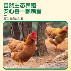 逗别三日 正宗农家散养土鸡蛋30枚三色鸡蛋混装鸡蛋五谷喂养鲜鸡蛋现捡现发