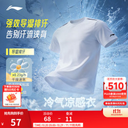 李宁 冰棒T速干衣男短袖T恤凉感夏季跑步健身户外运动上衣 白509-10 L (男175)