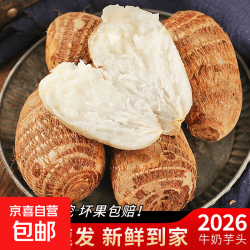 云南新鲜现挖小芋头毛芋头当季蔬菜芋艿软糯香甜早餐 牛奶小芋头2斤含箱