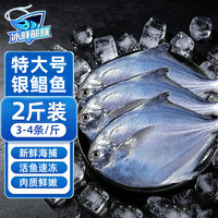 冰鲜部族 银鲳鱼白鲳鱼特大鲳鱼生鲜 鱼类新鲜冷冻银昌鱼特大号银鲳鱼新鲜海捕