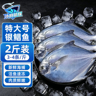 冰鲜部族 银鲳鱼 3-4条/斤*2斤
