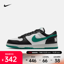 耐克 2026年男子BIG NIKE LOW运动休闲鞋 355152-019 41