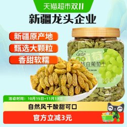 new boundaries 无核白葡萄干500g