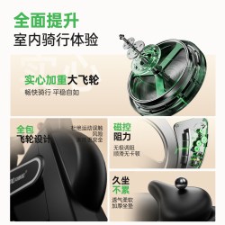 BeDL 动感单车家用磁控智能静音自行车运动