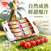 京鲜生 串收樱桃番茄 123g*8条 随享礼盒