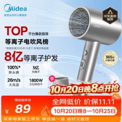美的 FJ308 5亿等离子护发 星光银 1800W 电吹风
