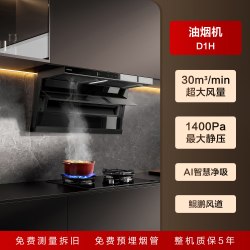老板 小黑翼D1H顶侧双吸抽油烟机 31m³