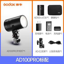 神牛 AD系列外拍灯 摄影闪光灯户外补光灯AD100pro AD300pro  AD600BM AD600Pro