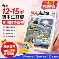 《阳光大少年》(2027年1-12月)