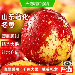 京运达 陕西大荔冬枣 脆甜 0.9斤 蜜饯果干