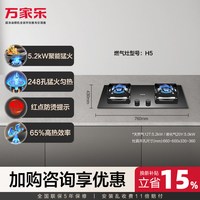 万家乐 C9R1 双边定时 天然气燃气灶