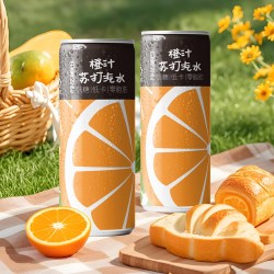 田园约定 橙汁味苏打水气泡水碳酸饮料真果汁330ml*24罐整箱装批发