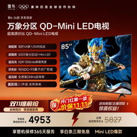 雷鸟 鹤6 26款 85R69A 液晶电视 85英寸