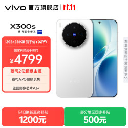 vivo X300s 5G手机 12GB+512GB 银白