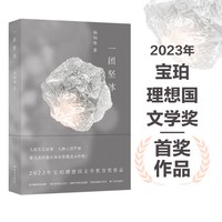 《一团坚冰》